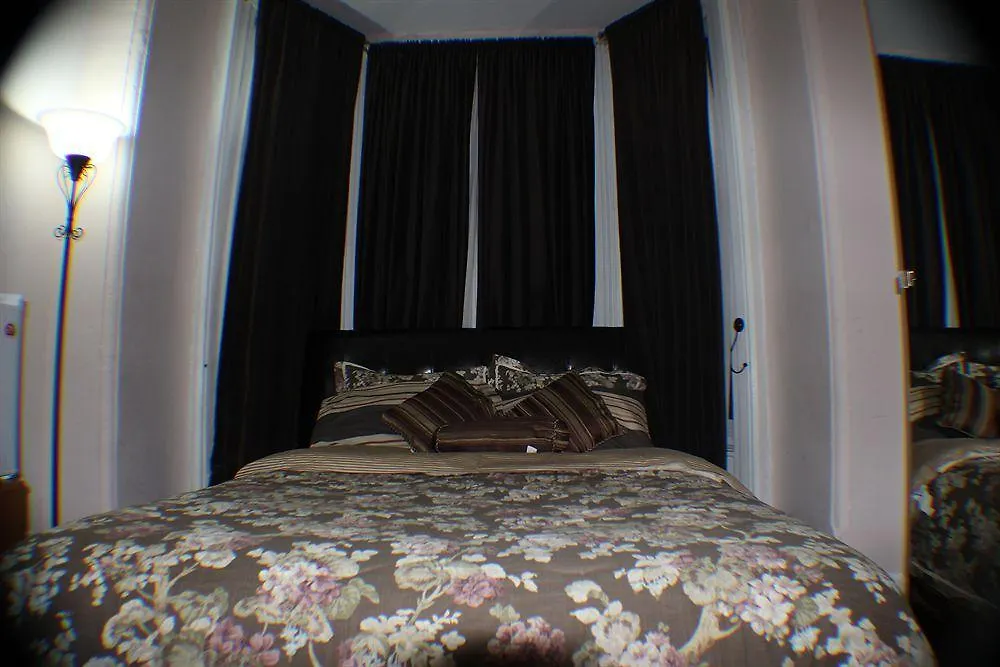 ** 招待所 Comfy Guesthouse & Suite 多伦多 加拿大