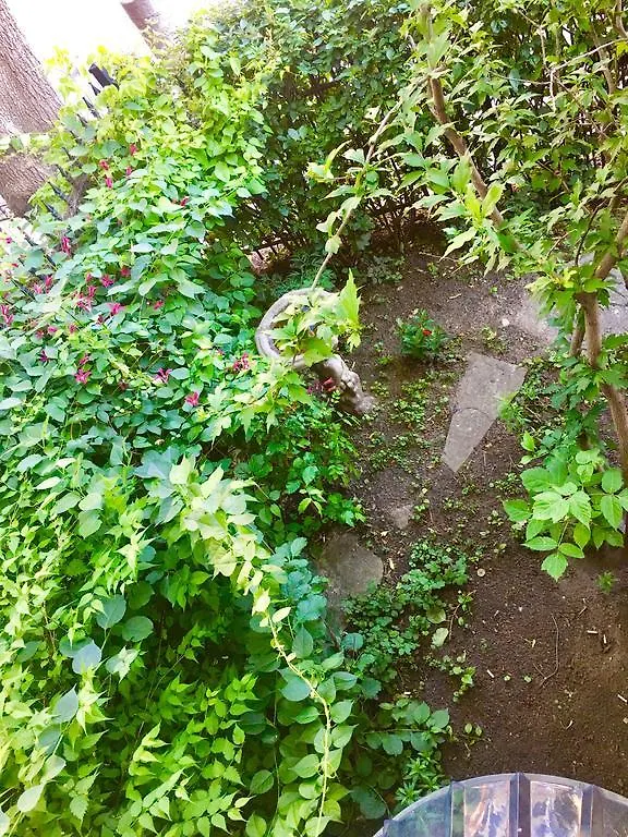 Comfy Guesthouse & Suite 多伦多