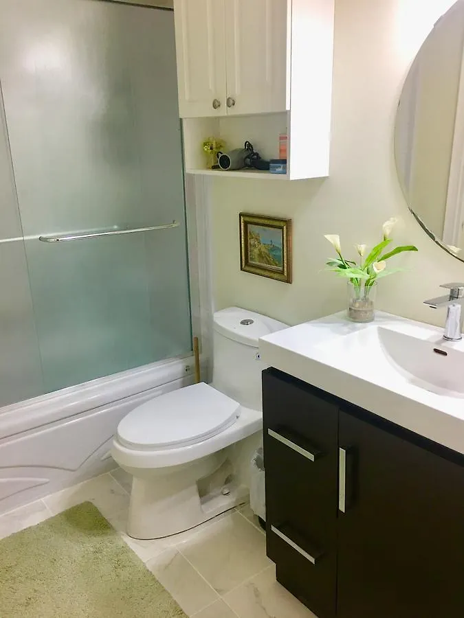 Comfy Guesthouse & Suite 多伦多 加拿大